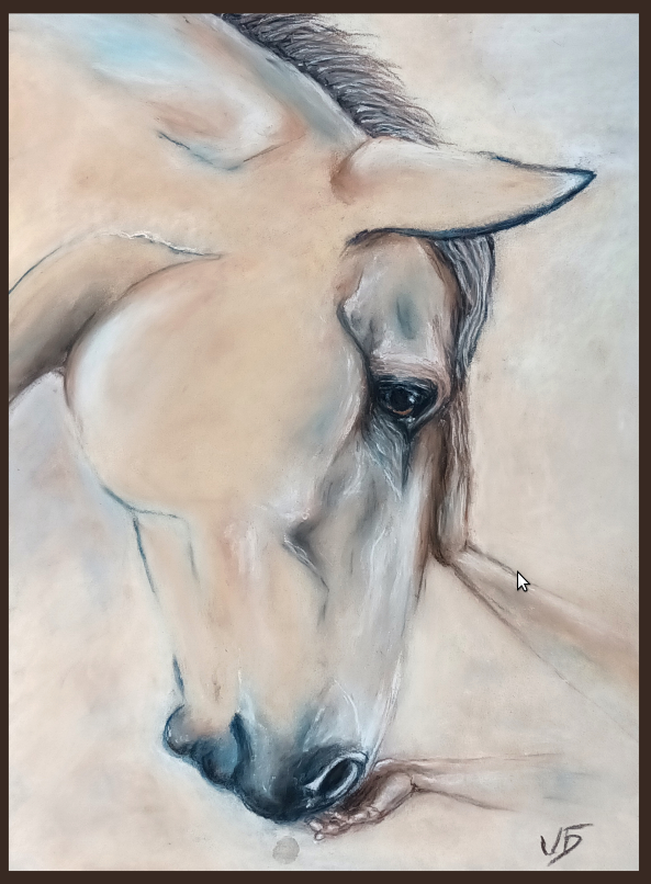 Cheval